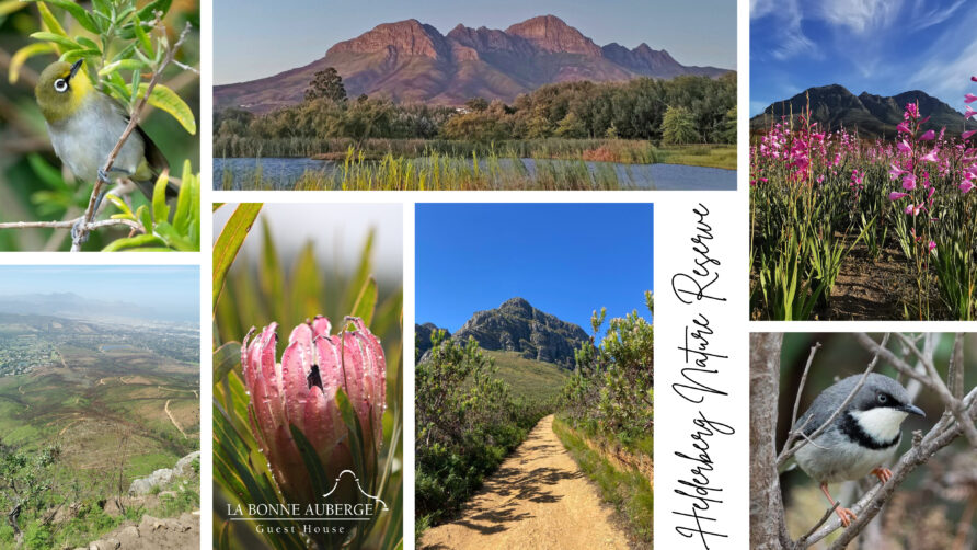 Oh, what a view from the Helderberg Nature Reserve!